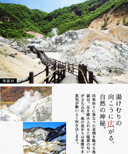 湯けむりの向こうに広がる、自然の神秘。